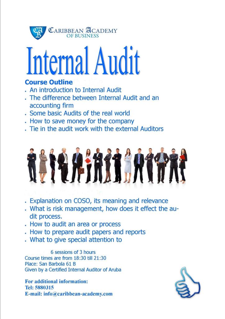 Internal audit introduction